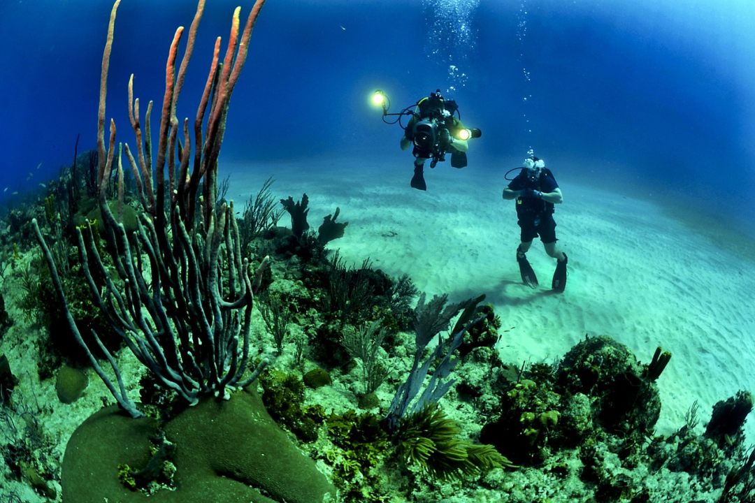 Scuba diving Dubai