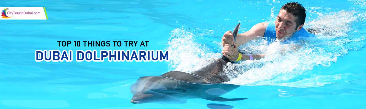 Dubai Dolphinarium