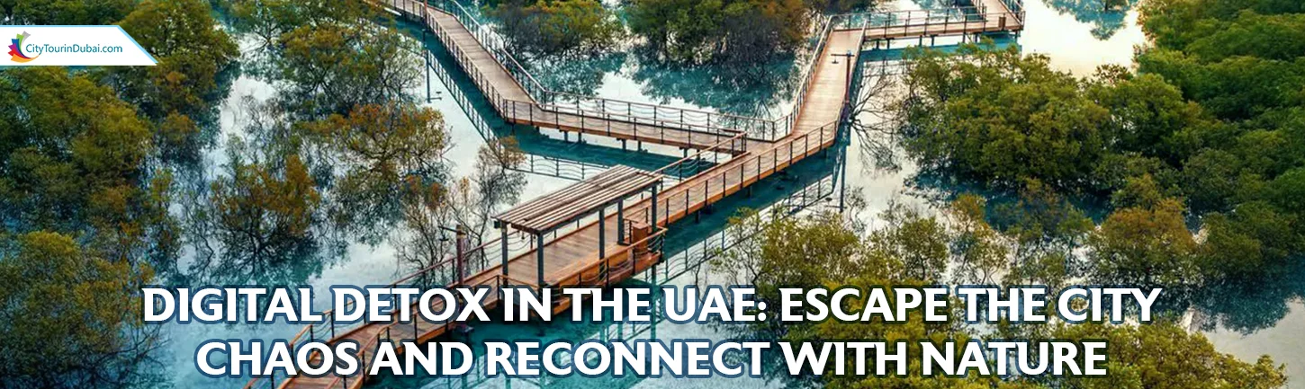 Digital Detox in the UAE Escape the City Chaos and Reconnect with Nature
