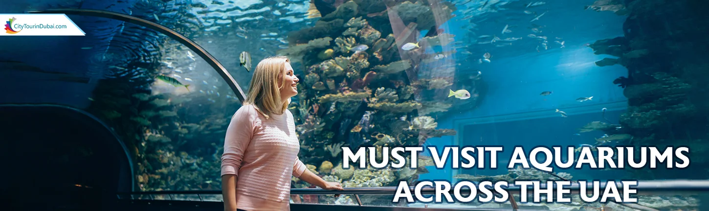 Must Visit Aquariums Across the UAE