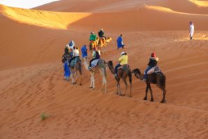 Camel riding Dubai