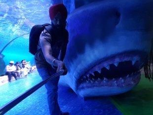 The Dubai Aquairum
