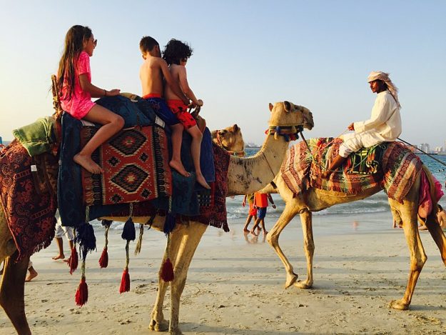 Camel ride in Dubai Beach