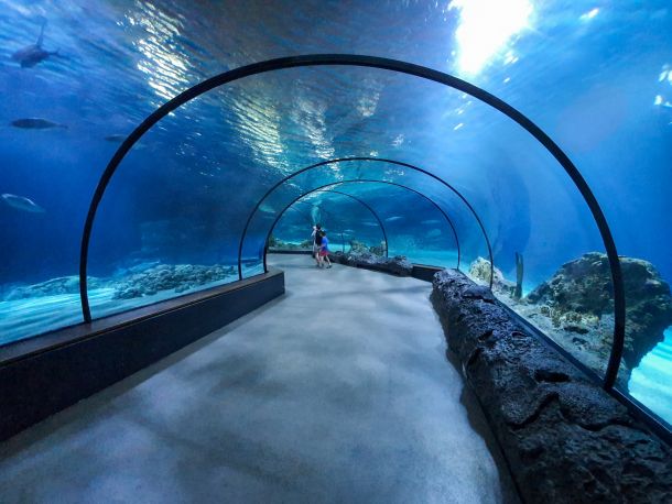 Sharjah Aquarium