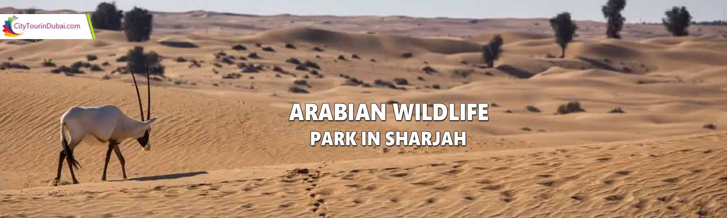 Arabian Wildlife Park in Sharjah