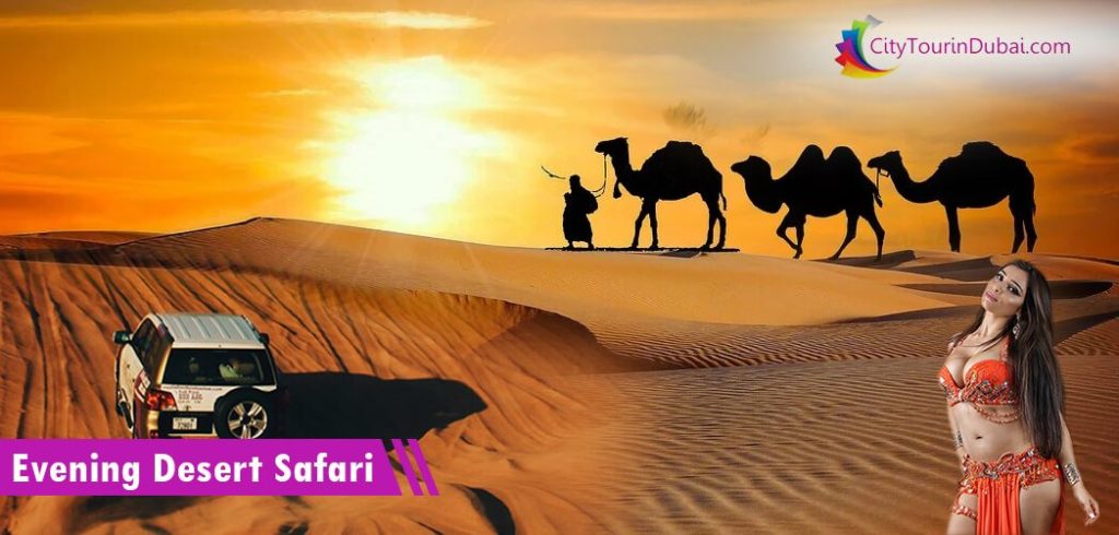Evening Desert safari