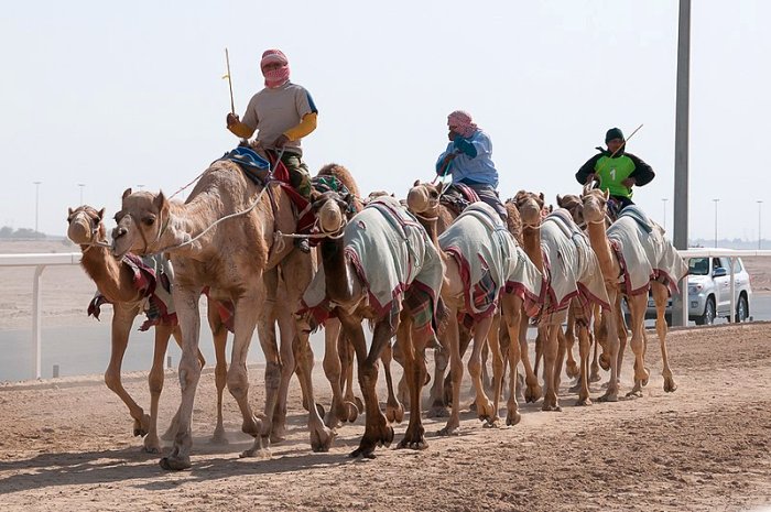 Al Marmoom Heritage Village
