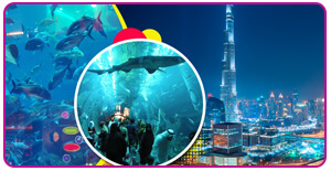 Dhow Cruise Dinner Abu Dhabi