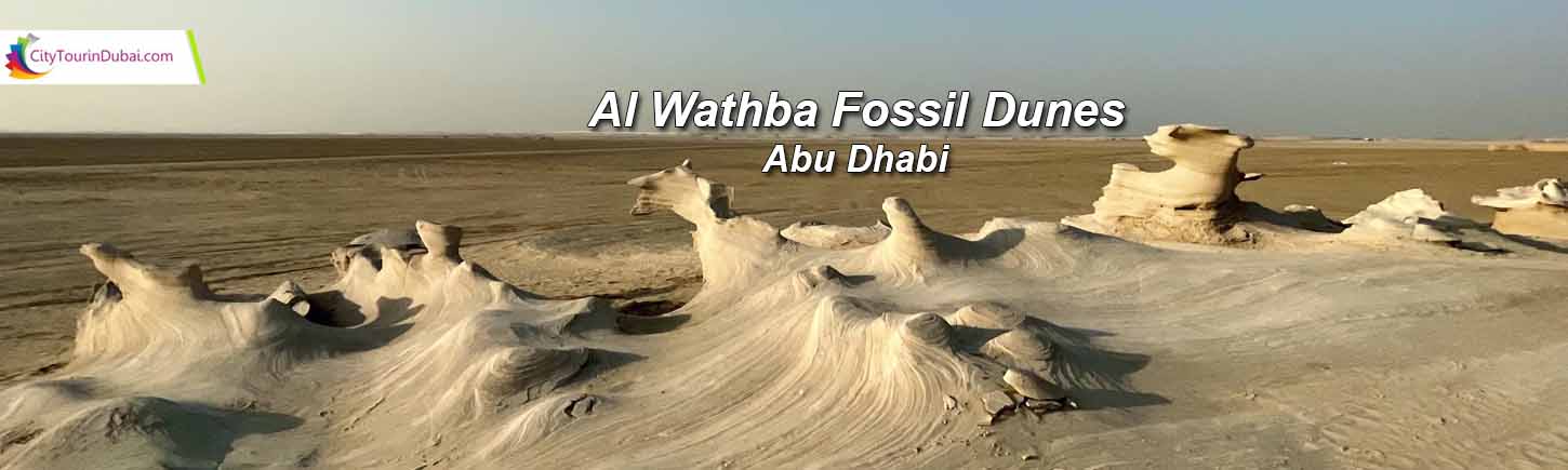 Al Wathba Fossil Dunes