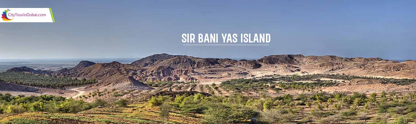 Sir Bani Yas Island