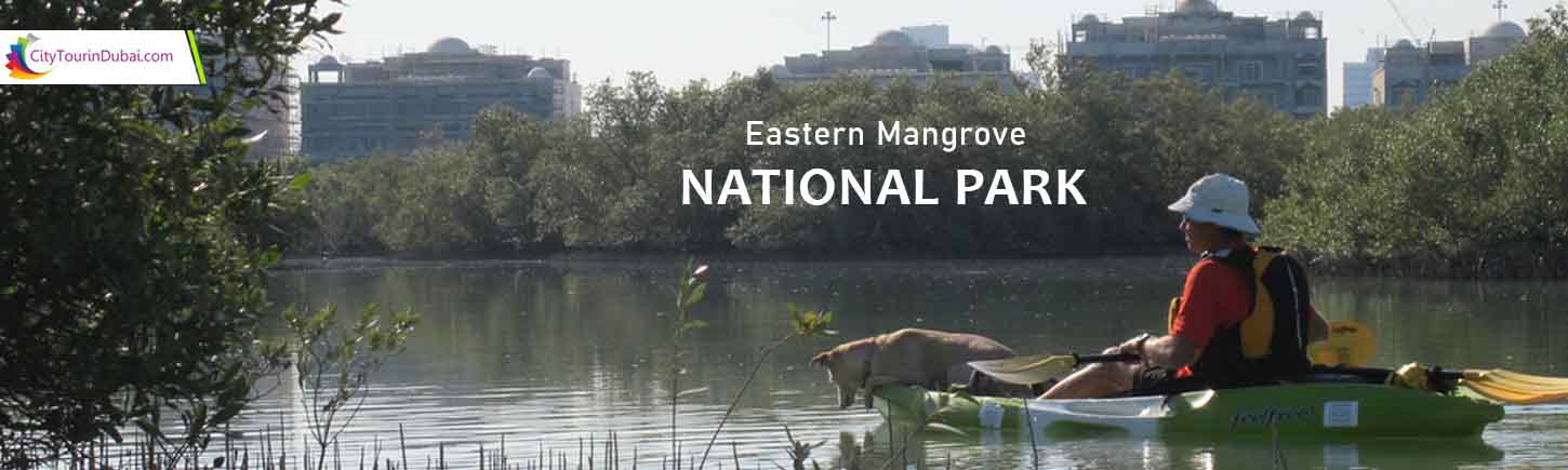 Eastern Mangrove National Park