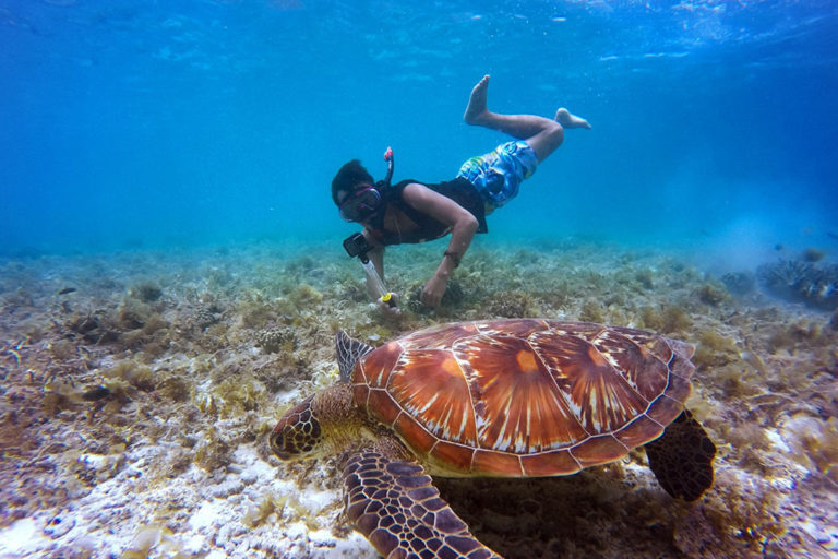 Scuba Diving Trips in Musandam