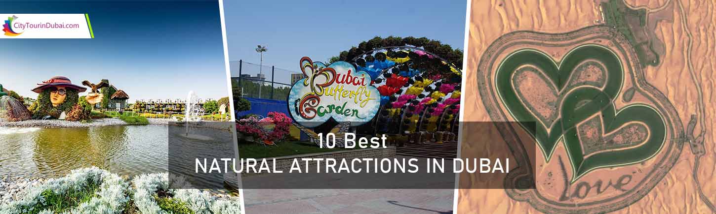 10 Best Natural Attractions in Dubai