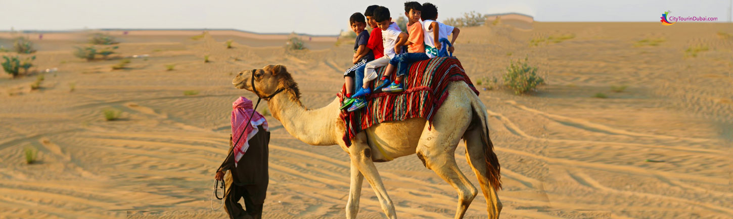 Camel Ride Dubai