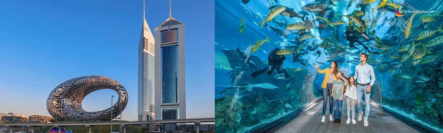 Museum of the Future & Dubai Aquarium & Underwater Zoo Combo