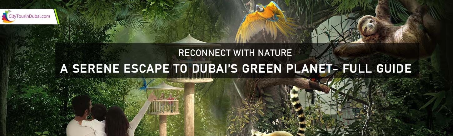 Reconnect with Nature