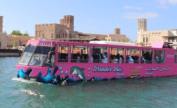 Wonder Bus Sea and Land Adventure Tours