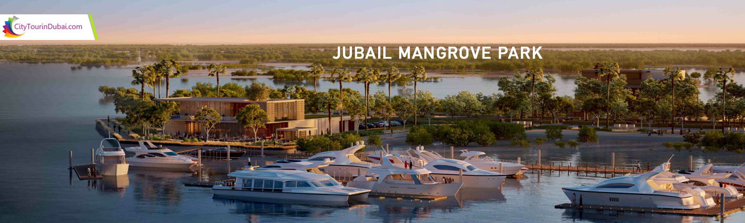 Jubail Mangrove Park