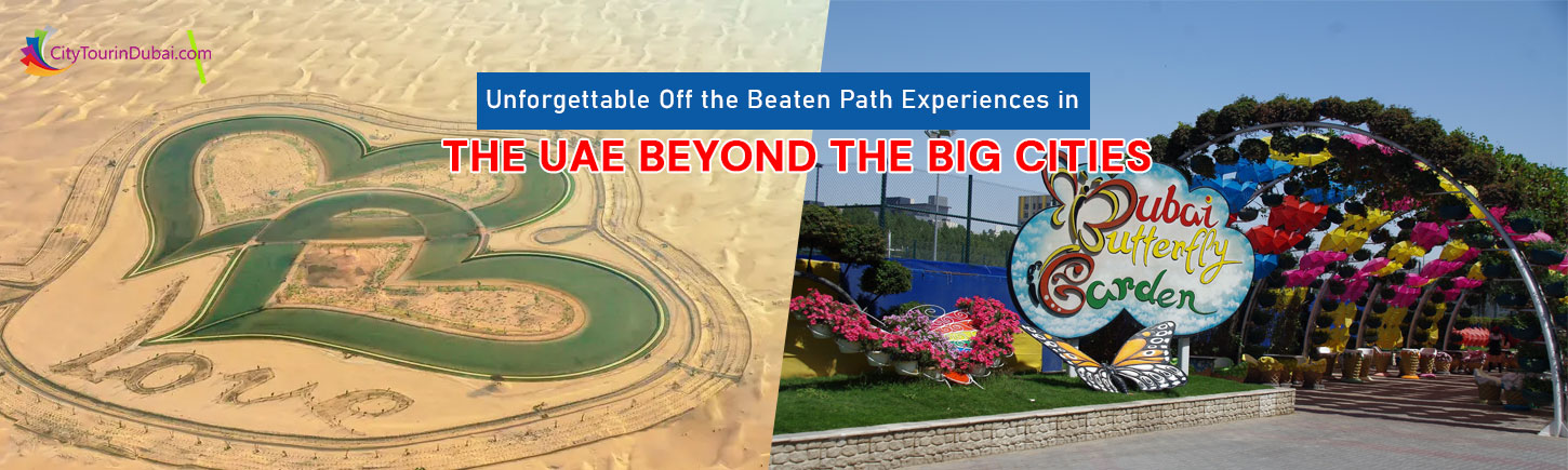 Unforgettable Off the Beaten Path Experiences in the UAE Beyond the Big Cities