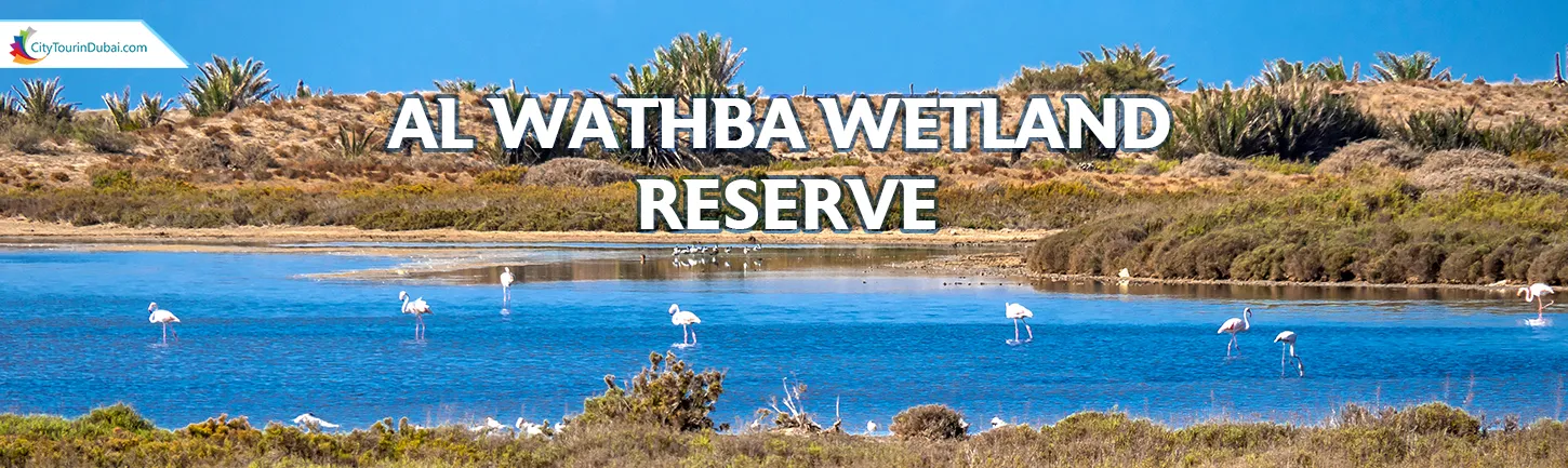 Al Wathba Wetland Reserve detail from timing to ticket