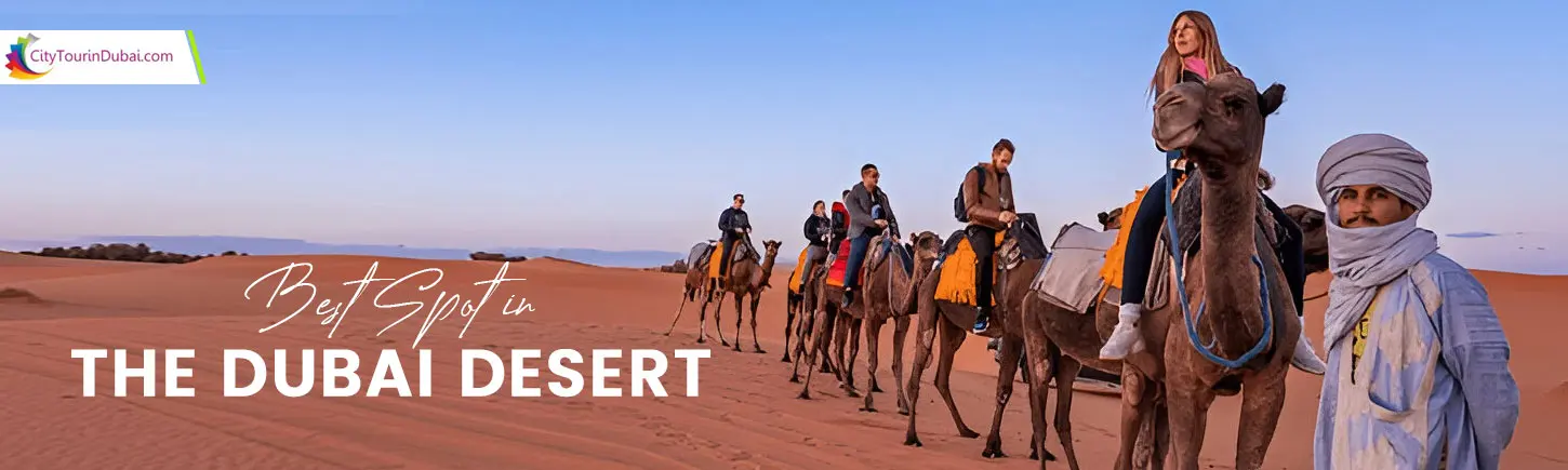 Best Spot in the Dubai Desert