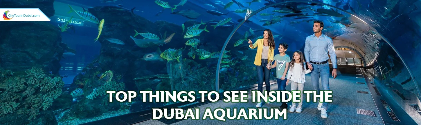 Overnight Desert Safari in Dubai