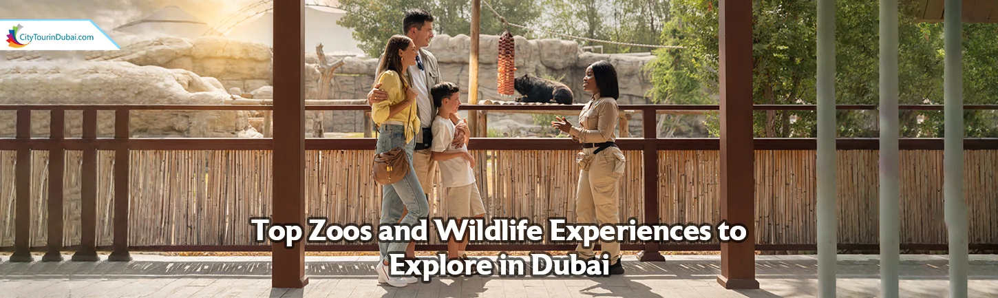 Top Zoos and Wildlife Experiences to Explore in Dubai