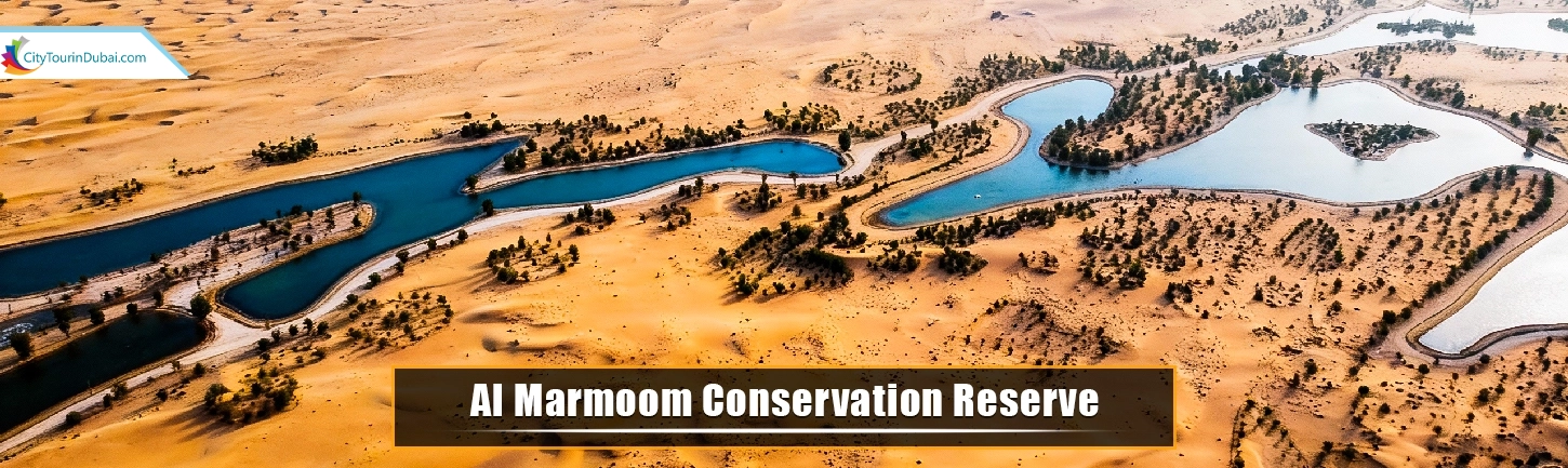 Al Marmoom Conservation Reserve - Complete Guide