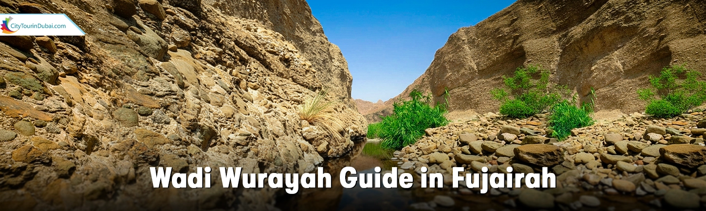 Wadi Wurayah Guide in Fujairah