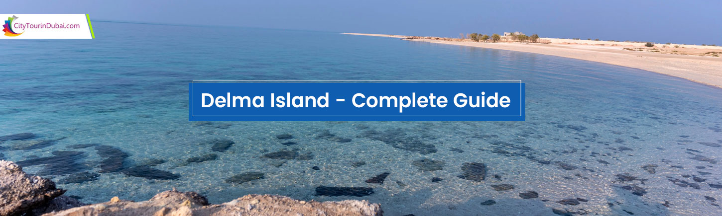 Delma Island - Complete Guide