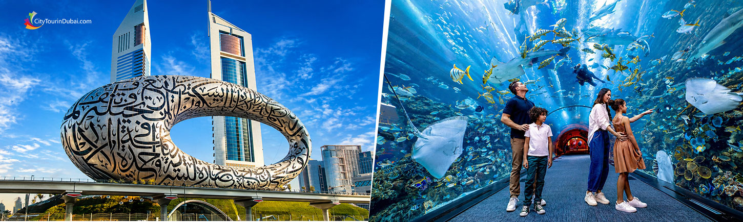 Museum of the Future & Dubai Aquarium & Underwater Zoo Combo Tickets