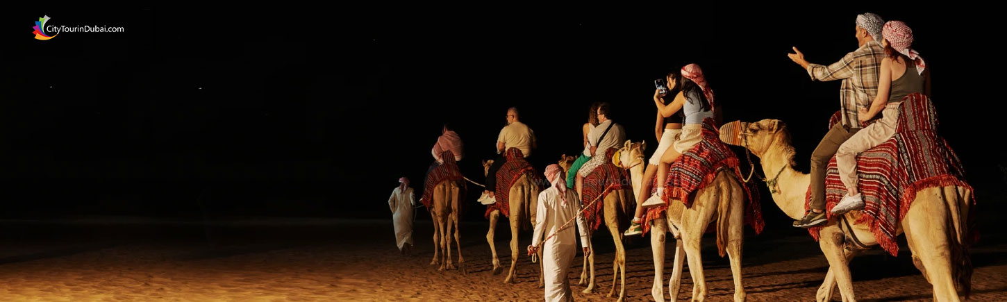 Noble Safari with Gourmet Dinner